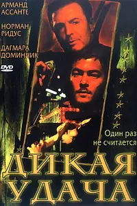 Постер к фильму «Дикая удача (2003)»