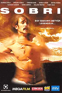 Постер к фильму «Шобри (2002)»