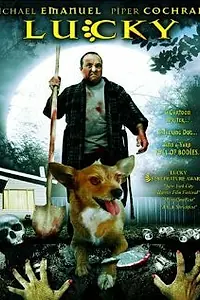 Постер к фильму «Счастливчик (2004)»