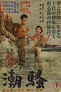 Постер к фильму «Шум прибоя (1954)»