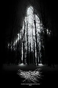 Главный постер фильма «Черный козел (2011)»