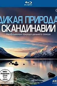Постер к сериалу «Дикая природа Скандинавии (2011)»