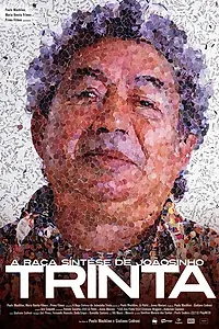 Главный постер фильма «Тринта: Человек-карнавал (2014)»
