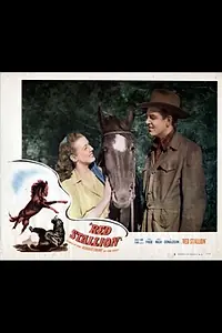 Главный постер фильма «Red Stallion in the Rockies (1949)»