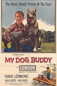 Постер к фильму «My Dog Buddy (1960)»