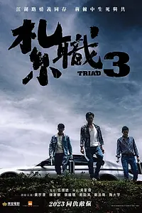 Постер к фильму «Триада 3 (2024)»