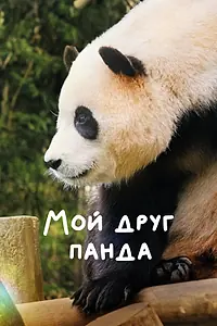 Главный постер фильма «Мой друг панда (2024)»