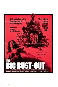 Главный постер фильма «Распятые девушки из Сан-Рамона (1972)»