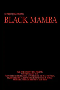 Постер к фильму «Черная Мамба (2011)»