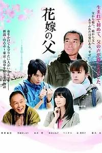 Постер к фильму «Отец невесты (2012)»
