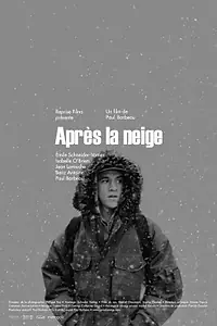 Постер к фильму «После снегопада (2012)»