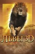Постер к фильму «Львы 3D (2005)»