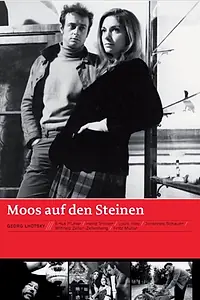 Главный постер фильма «Мох на камнях (1968)»