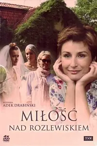 Постер к сериалу «Любовь у озера (2010)»