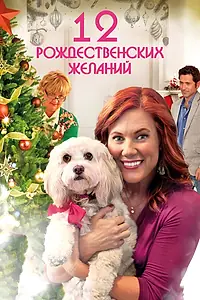 Постер к фильму «12 Рождественских желаний (2011)»