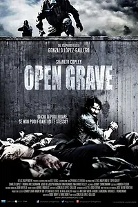 Главный постер фильма «Открытая могила (2013)»
