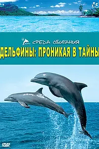 Главный постер фильма «Дельфины: Проникая в тайны (2006)»
