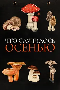 Постер к фильму «Что случилось осенью (2024)»