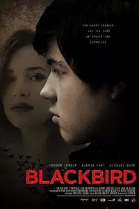 Постер к фильму «Чёрный дрозд (2012)»