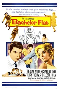 Главный постер фильма «Квартира холостяка (1961)»