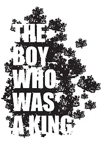 Главный постер фильма «The Boy Who Was a King (2011)»