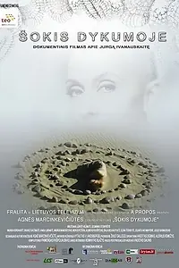 Постер к фильму «Танцы в пустыне (2009)»