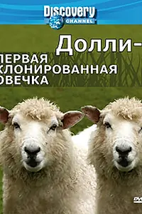 Главный постер фильма «Discovery: Долли — первая клонированная овечка (2006)»