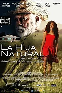 Главный постер фильма «Родная дочь (2011)»