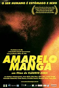 Постер к фильму «Желтое манго (2002)»