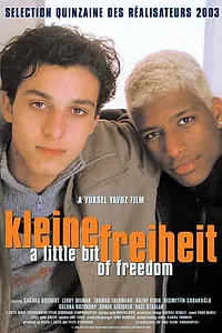 Главный постер фильма «Немного свободы (2003)»