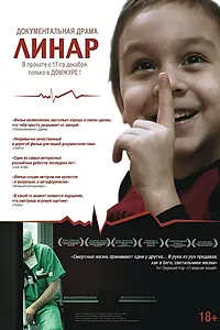 Постер к фильму «Линар (2013)»
