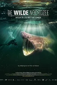 Главный постер фильма «Дикое Северное море (2024)»