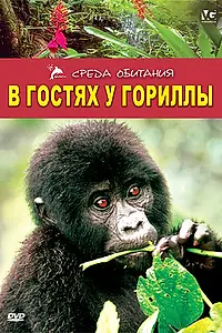 Главный постер фильма «В гостях у гориллы (1997)»