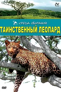 Постер к фильму «Таинственный леопард (2001)»