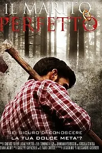 Постер к фильму «Идеальный муж (2011)»
