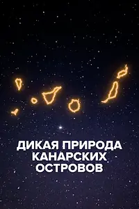 Постер к фильму «Дикая природа Канарских островов (2021)»