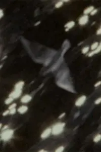 Постер к фильму «Мир (2009)»