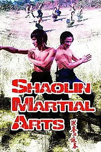 Главный постер фильма «Боевые искусства Шаолиня (1974)»