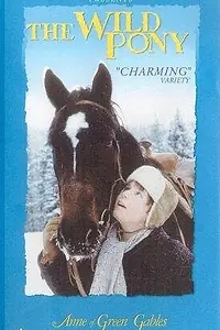 Главный постер фильма «The Wild Pony (1983)»
