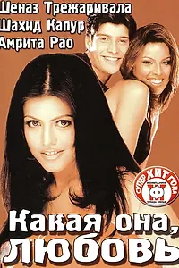 Главный постер фильма «Какая она, любовь (2003)»