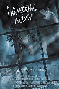 Постер к фильму «Paranormal Incident (2011)»