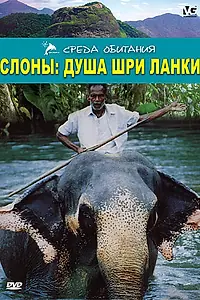 Постер к фильму «Слоны: Душа Шри-Ланки (2000)»