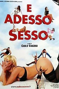 Постер к фильму «А теперь секс (2001)»