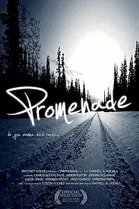 Постер к фильму «Прогулка (2010)»