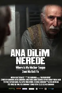 Главный постер фильма «Где мой родной язык? (2012)»