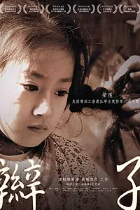 Постер к фильму «辮子 (2011)»