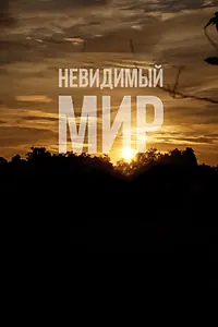Постер к фильму «Невидимый мир (2012)»