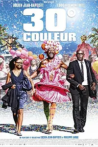 Постер к фильму «30 градусов цвета (2012)»