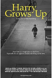 Постер к фильму «Harry Grows Up (2012)»