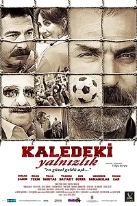 Главный постер фильма «В замке одиночества (2011)»